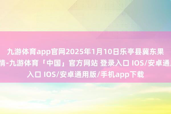 九游体育app官网2025年1月10日乐亭县冀东果菜批发市集价钱行情-九游体育「中国」官方网站 登录入口 IOS/安卓通用版/手机app下载