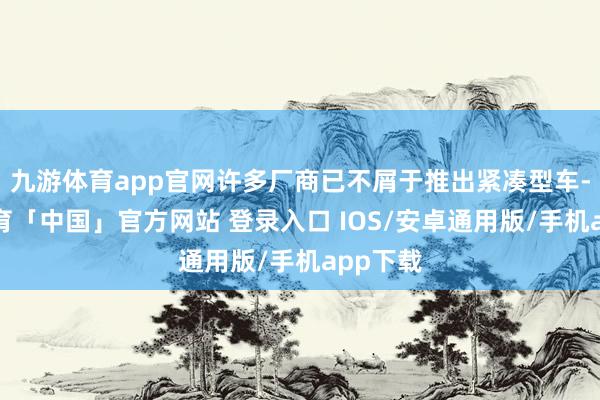 九游体育app官网许多厂商已不屑于推出紧凑型车-九游体育「中国」官方网站 登录入口 IOS/安卓通用版/手机app下载