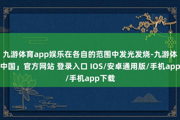 九游体育app娱乐在各自的范围中发光发烧-九游体育「中国」官方网站 登录入口 IOS/安卓通用版/手机app下载