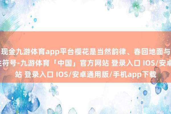 现金九游体育app平台樱花是当然韵律、春回地面与无常之好意思的标识性符号-九游体育「中国」官方网站 登录入口 IOS/安卓通用版/手机app下载