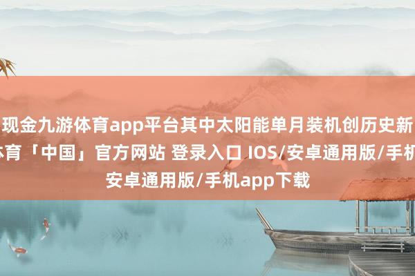现金九游体育app平台其中太阳能单月装机创历史新高-九游体育「中国」官方网站 登录入口 IOS/安卓通用版/手机app下载