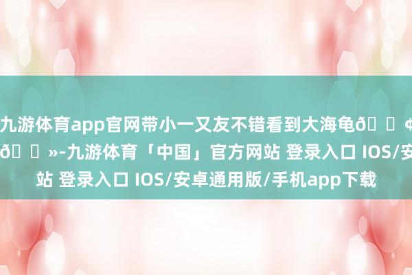 九游体育app官网带小一又友不错看到大海龟🐢哦～2️⃣礁石酒吧🍻-九游体育「中国」官方网站 登录入口 IOS/安卓通用版/手机app下载