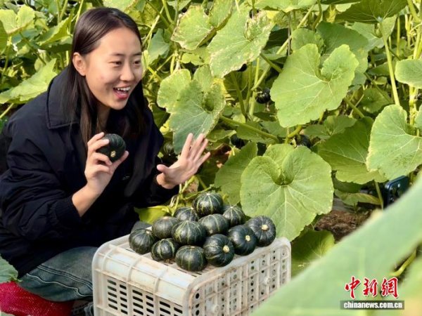 现金九游体育app平台果蔬销售仅仅该公司的一部分-九游体育「中国」官方网站 登录入口 IOS/安卓通用版/手机app下载