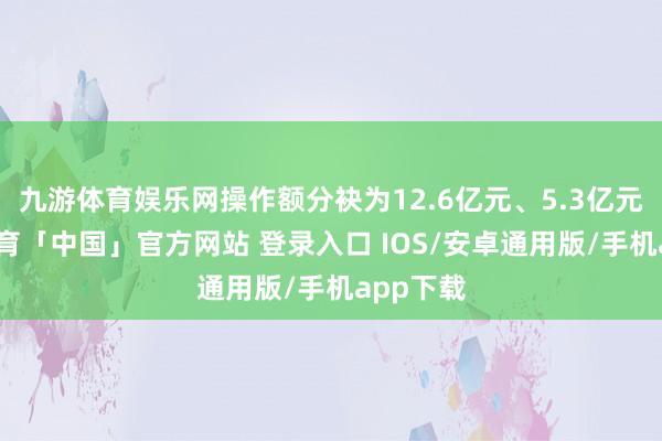 九游体育娱乐网操作额分袂为12.6亿元、5.3亿元-九游体育「中国」官方网站 登录入口 IOS/安卓通用版/手机app下载
