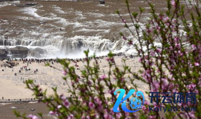 黄河壶口桃花汛来了