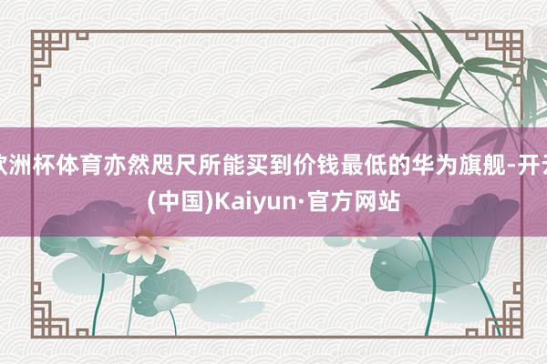 欧洲杯体育亦然咫尺所能买到价钱最低的华为旗舰-开云(中国)Kaiyun·官方网站